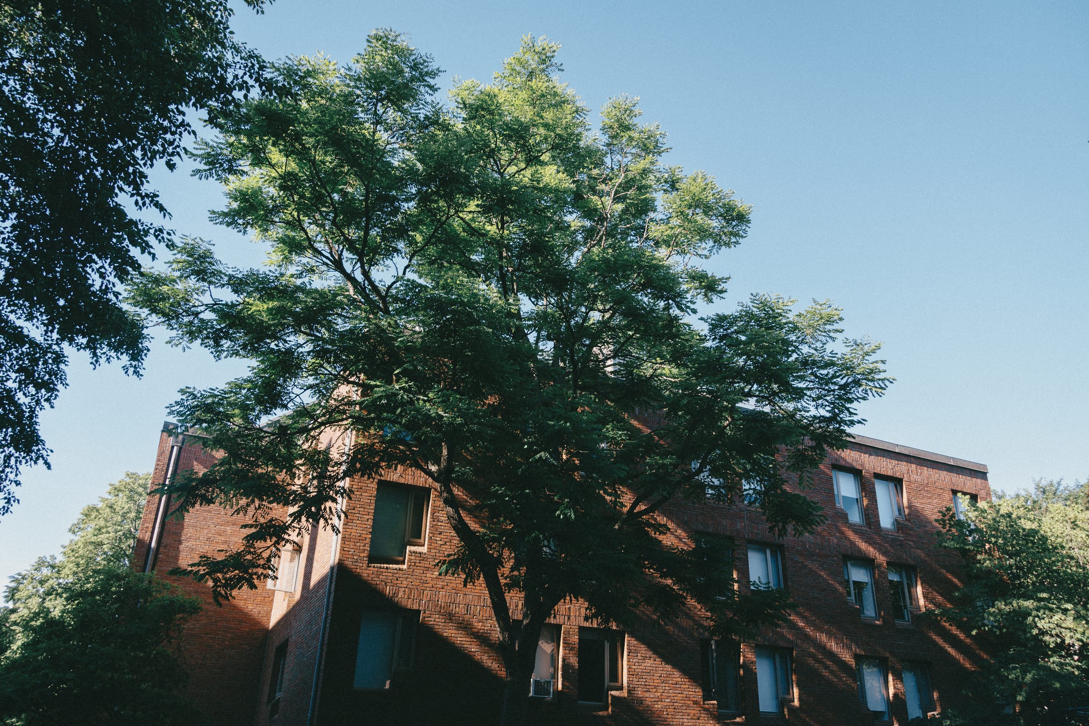 Take a walk in Boston