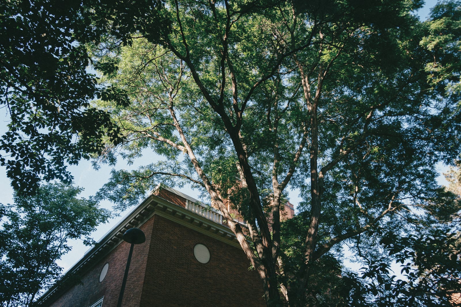 Take a walk in Boston