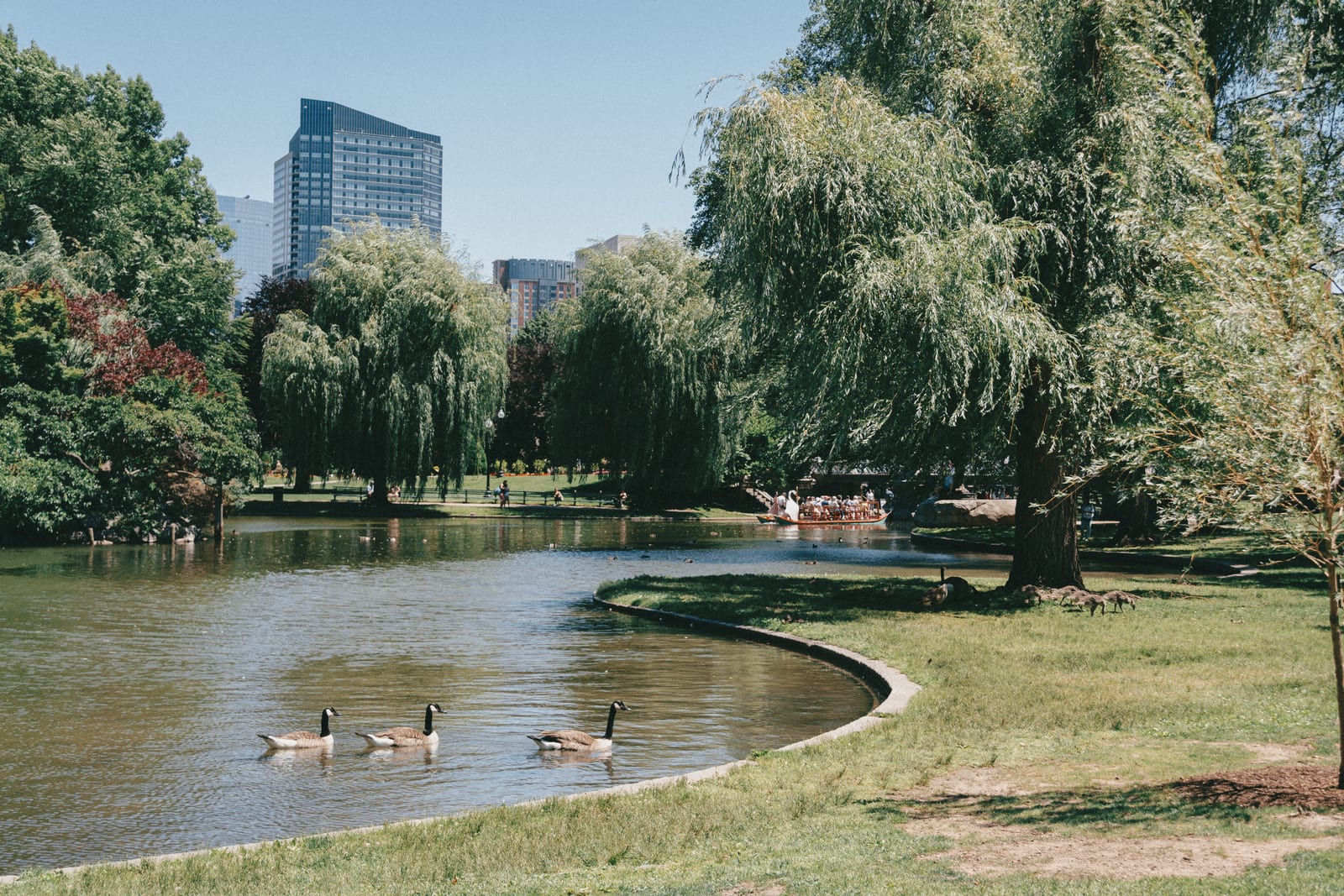 Take a walk in Boston