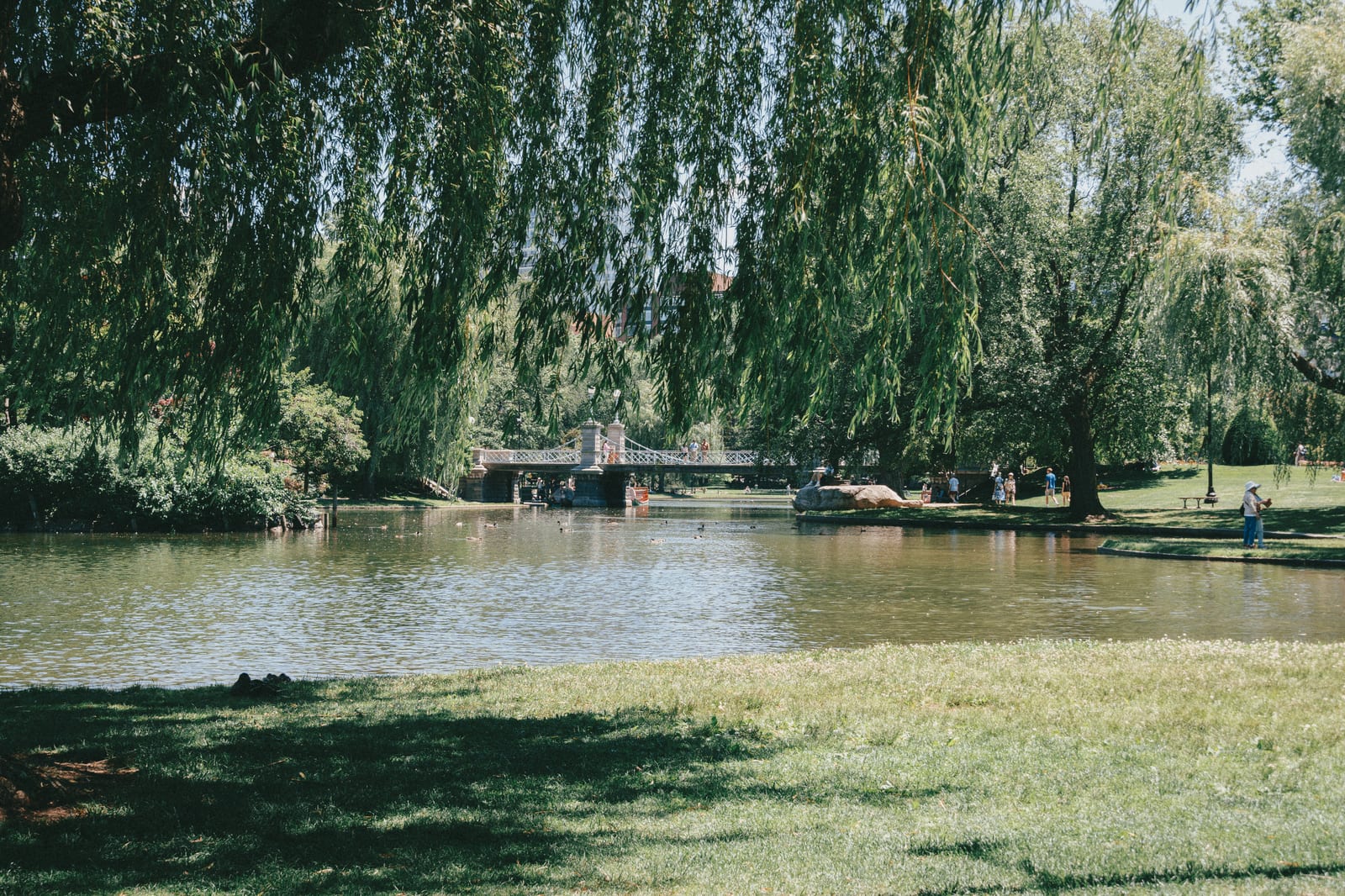 Take a walk in Boston